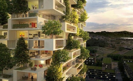 معماری طبیعت گرا در سازه های بی نظیر ویلایی و آپارتمانی